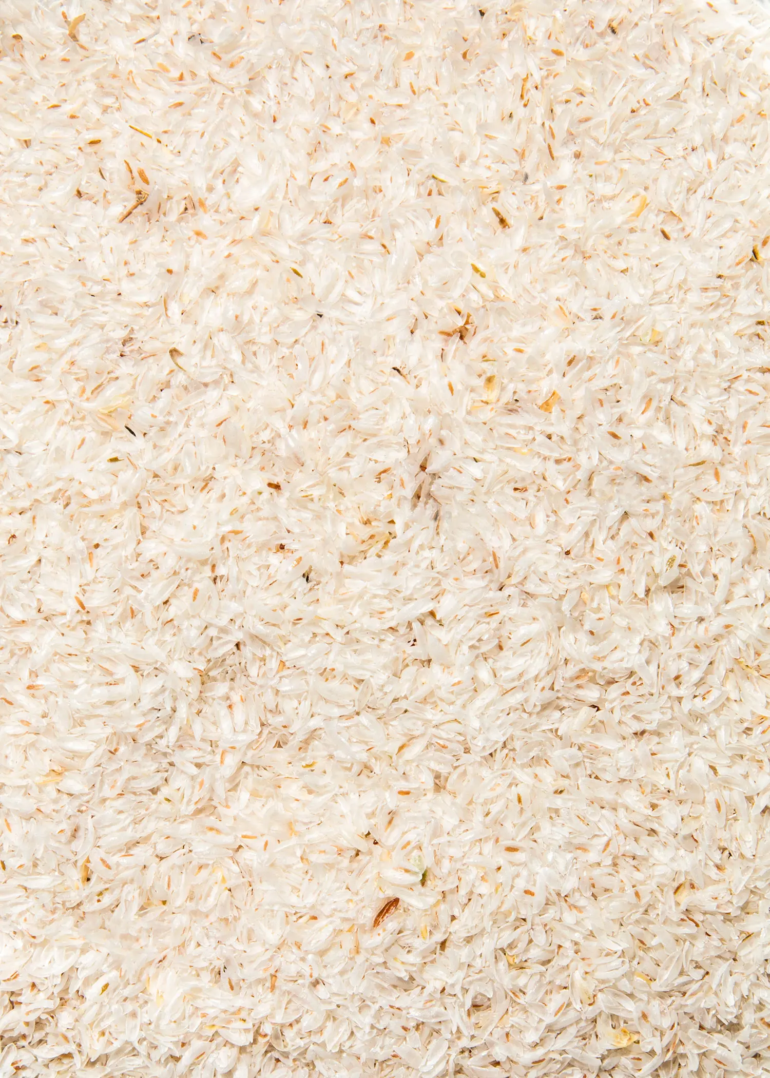 Organic 99% pure psyllium husks 100g - Image 2