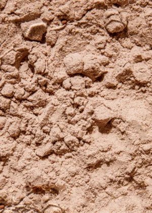 Vegan chocolate flavoured protein powder 1kg